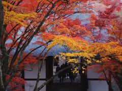 -常寂光寺