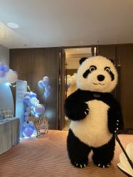 -觅糖派对·宝宝宴生日宴一站式派对策划(河西店)