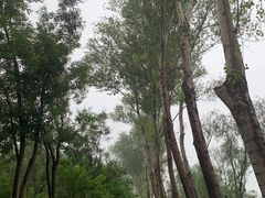 -东郊湿地公园