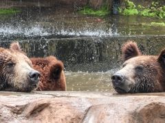-海南热带野生动植物园