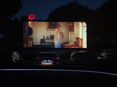 -枫花园汽车电影院(朝阳公园店)
