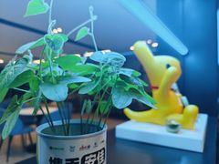 -赛卡联盟卡丁车馆(上海世博店)