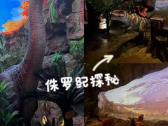 -长鹿旅游休博园