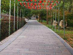 -敬亭山风景名胜区