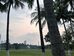 -万绿园