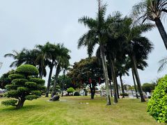 -石炮台公园