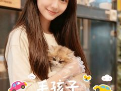 -翊宠yipet猫狗购宠庄园犬舍•猫舍