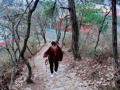 -千岛湖天屿景区
