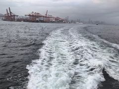 -招商蛇口邮轮母港(观光客运)