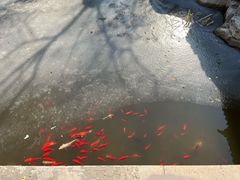 -周村古商城-状元府