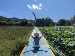 -红山村