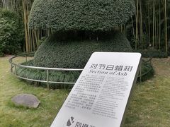 -苏州河梦清园环保主题公园