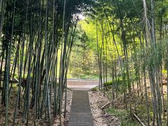 -天姥山景区
