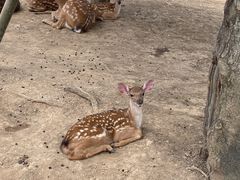 -迪茵湖田家舍生态农场