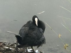 -大理洱海