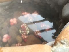 -水底山庄园温泉