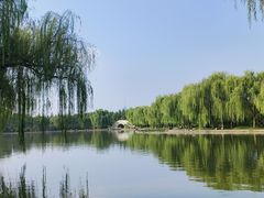 -洛阳市隋唐城遗址植物园