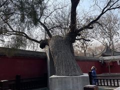 -天宁寺
