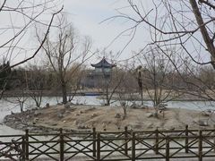 -盐城丹顶鹤湿地生态旅游区