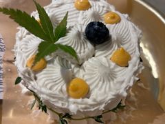 -野草莓自由市场