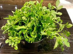 西洋菜-东椰·海南椰子鸡火锅(朝阳门店)