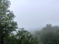 -天女山森林公园