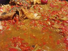 -老板恋上鱼(恒隆广场店)