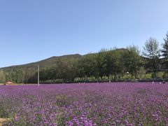-百里山水画廊乌龙峡谷