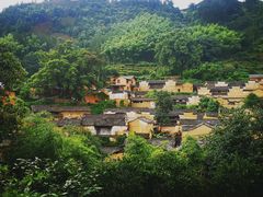 -杨家堂村
