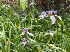 -南宁花花大世界景区