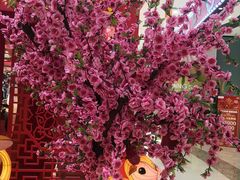 -万达广场(南京江宁店)