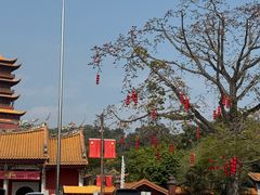 -梵天禅寺