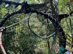 -芦仙山景区-飞越丛林探险乐园