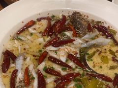 -首秀·四川料理(星耀101店)