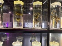 -广东中医药博物馆