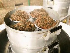 -武汉世外桃源农庄