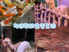 -正佳雨林生态植物园