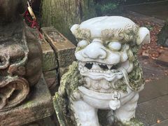 -青城山