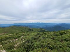 -灵山