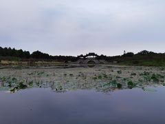 -上海海湾国家森林公园