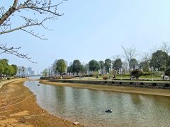 -金沙湖公园