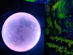-天津梵高星空艺术馆(天河城旗舰店)