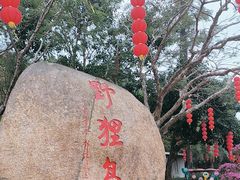 -野狸岛