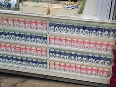 -马家大院