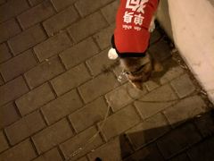 -PETKIT 小佩宠物·低压洗护·美容·寄养(安远店)