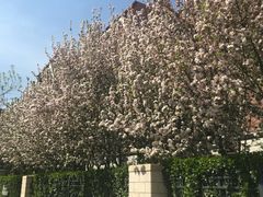 -天津津利华酒店