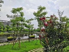 -厦门理工学院(集美校区)