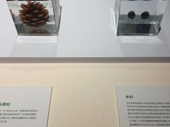 -中国湿地博物馆