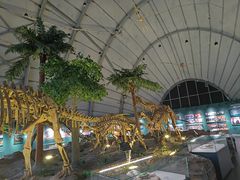 -辽宁古生物博物馆