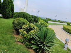 -东港音乐喷泉广场